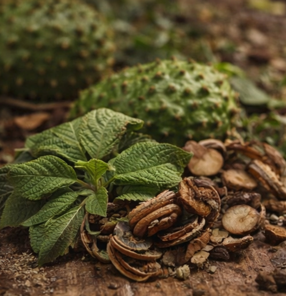 Eden Immune & Cellular Support Tea